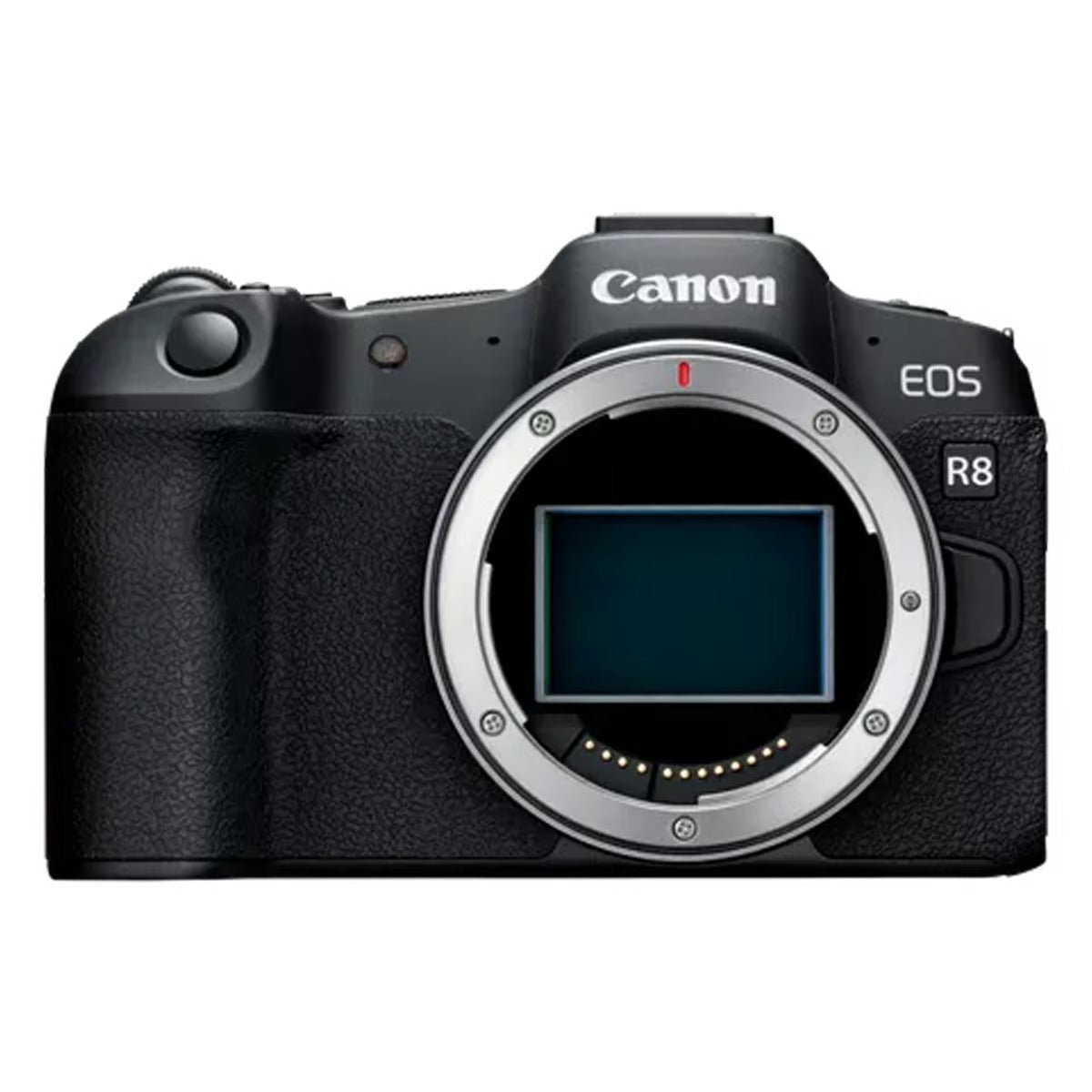 Canon EOS R8 Mirrorless Full Frame Camera with RF 24-50 mm f/4.5-6.3 IS STM Lens