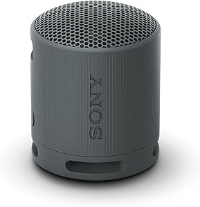 Sony SRS-XB100 Portable Wireless Speaker