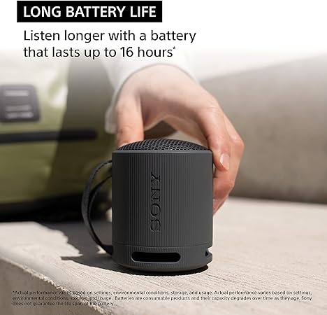 Sony SRS-XB100 Portable Wireless Speaker