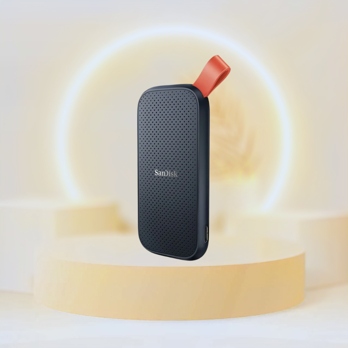 SanDisk® Portable SSD SDSSDE30