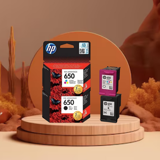 خرطوشة الحبر الأصلية HP 650 Advantage