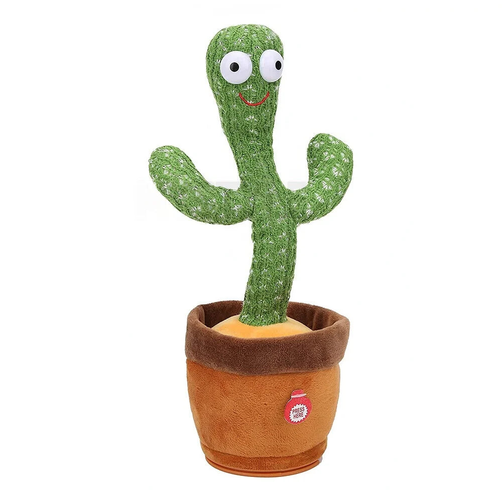 Dancing Cactus